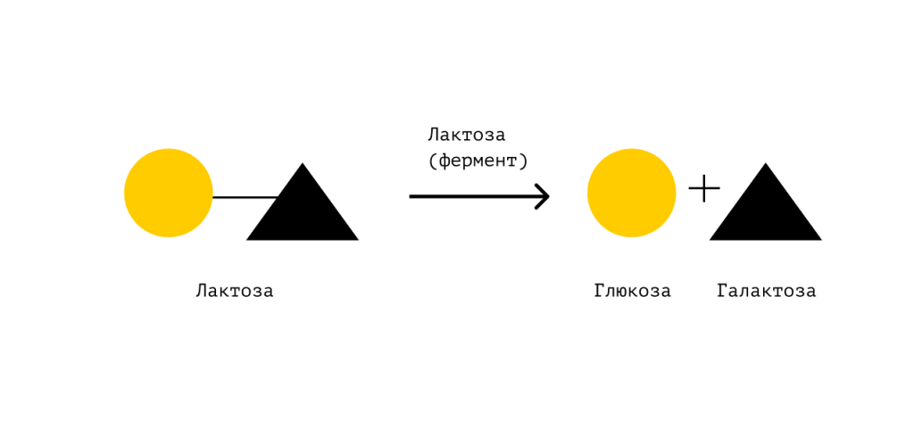 Group-22_2.png