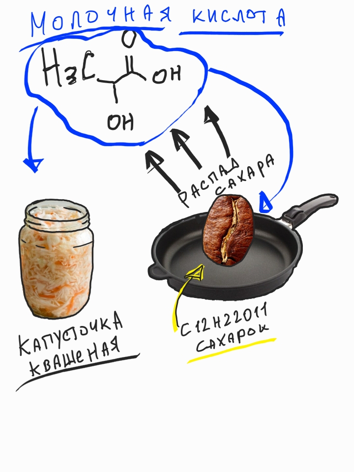 молочная кислота