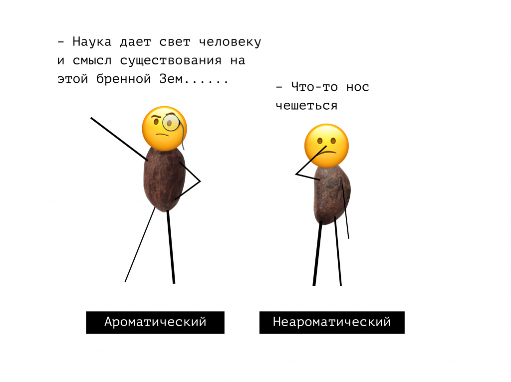 02 – ароматические и неароматические какао-бобы.jpg