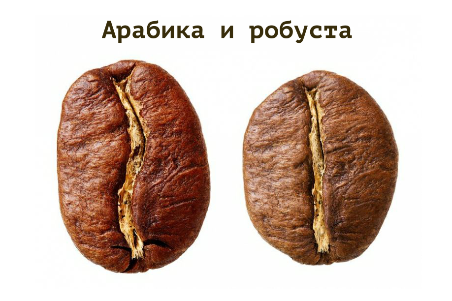 arabica-vs-robusta.png arabica-vs-robusta.png